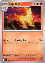 Rapidash (020/142), Stellar Crown — Pokémon card price