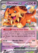 Dachsbun ex - 067/142 (067/142) — card price