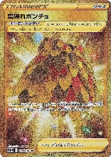 Leafy Camo Poncho (124/098) — card price