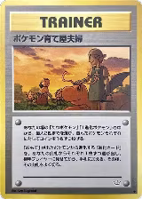 Pokemon Breeder Fields — card price