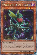 Predaplant Ophrys Scorpio (Quarter Century Secret Rare) (MP24-EN041) — card price