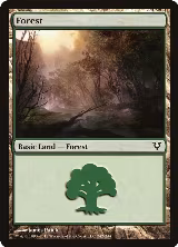 Forest (242) (242) — card price