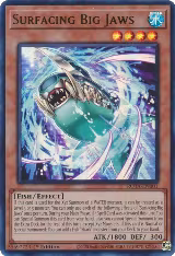 Surfacing Big Jaws (ROTA-EN001) — card price