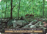 Pebbled Paths — card price