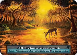 Pond — card price