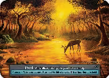 Pond (Foil) — card price