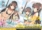 Turbulent Recreation (SP) (Gaw/WS02-E035SP SP) — card price