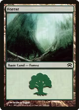Forest (156) (156) — card price