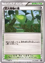 Forest of Giant Plants (154/171), The Best of XY — Pokémon JP card price