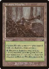 Hickory Woodlot (319), Mercadian Masques — Magic card price