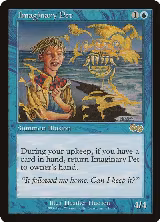 Imaginary Pet (81) — card price