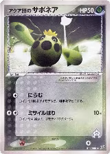 Team Aqua's Cacnea (011/080) — card price