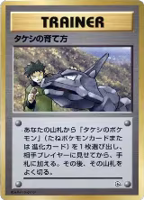 Brock's Training Method, City Gym Decks — Pokémon JP card price