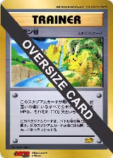 Pokemon Valley (Jumbo) — card price
