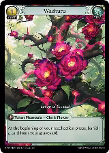 Washuru (213), Abyssal Heaven — Grand Archive card price