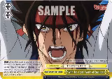 With Ten Years' Worth of Emotions (RRR) (RKN/S115-TE11R RRR), Rurouni Kenshin — Weiß Schwarz card price