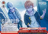 Bristling Irritation (RRR) (PJS/S91-E078R RRR), HATSUNE MIKU: COLORFUL STAGE! — Weiß Schwarz card price
