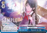 Beyond the Sky (PJS/S91-E108 CC), HATSUNE MIKU: COLORFUL STAGE! — Weiß Schwarz card price