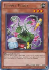 Puppet Plant (TU05-EN006) — card price