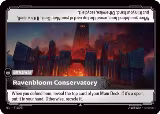 Ravenbloom Conservatory (215/221) — card price