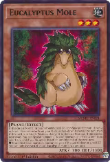 Eucalyptus Mole (MZMU-EN021) — card price