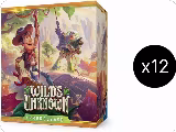 Disney Lorcana: Wilds Unknown Prerelease Box Case, Wilds Unknown — Lorcana card price