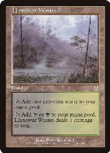 Llanowar Wastes (141), Apocalypse — Magic card price