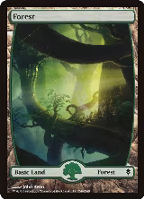 Forest (246) - Full Art (246) — card price