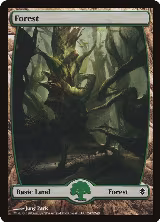 Forest (247) - Full Art (247) — card price