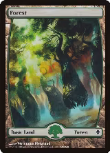 Forest (248) - Full Art (248) — card price