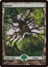 Forest (249) - Full Art (249) — card price