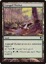 Tranquil Thicket (329) — card price