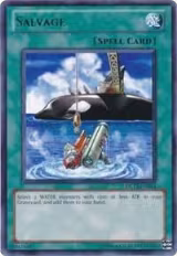 Salvage (Red) (DL12-EN014), Duelist League Promo — Yu-Gi-Oh! card price