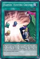 Harpies' Hunting Ground (AP02-EN010), Astral Pack 2 — Yu-Gi-Oh! card price