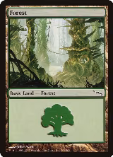 Forest (306) (306) — card price