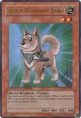 Shiba-Warrior Taro (YAP1-EN008), Anniversary Pack — Yu-Gi-Oh! card price