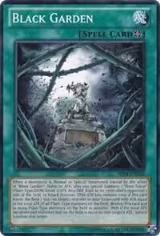 Black Garden (AP04-EN025) — card price