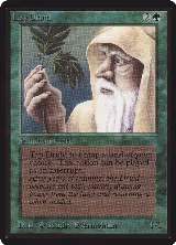 Ley Druid, Beta Edition — Magic card price