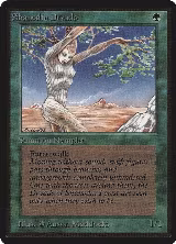 Shanodin Dryads — card price
