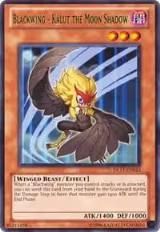 Blackwing - Kalut the Moon Shadow (Green) (DL11-EN013), Duelist League Promo — Yu-Gi-Oh! card price
