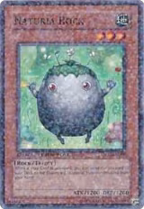 Naturia Rock (DT02-EN008) — card price