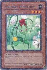 Naturia Rosewhip (DT02-EN071), Duel Terminal 2 — Yu-Gi-Oh! card price