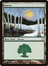 Forest (382) (382) — card price
