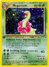Meganium (11) (011/111), Neo Genesis — Pokémon card price