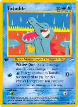 Totodile (085/105), Neo Destiny — Pokémon card price