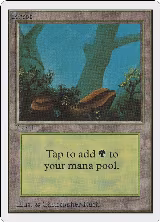 Forest (A) — card price