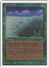 Lifelace — card price