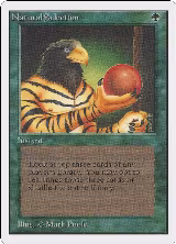 Natural Selection — card price