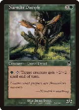 Nantuko Disciple (253) — card price