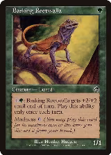 Basking Rootwalla (121), Torment — Magic card price
